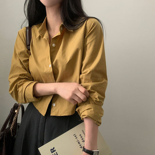Short Shirt Long Sleeve Underwear Blouse